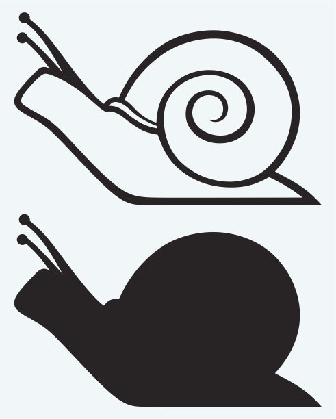 snail