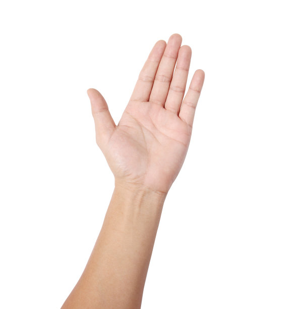palm