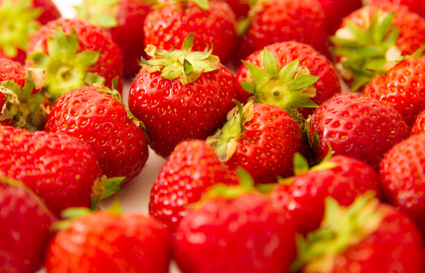草莓园的草莓