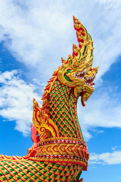 户外,多色的,黄色