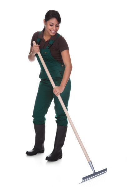 rake