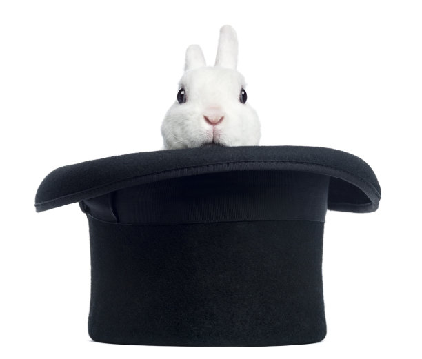 兔兔帽