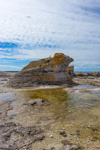 faro