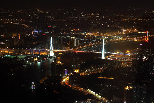 杨浦大桥夜景