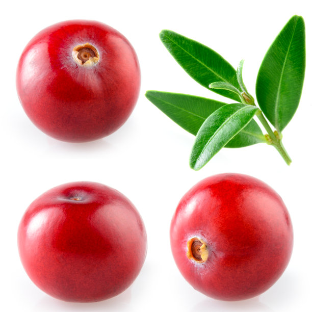 cranberry