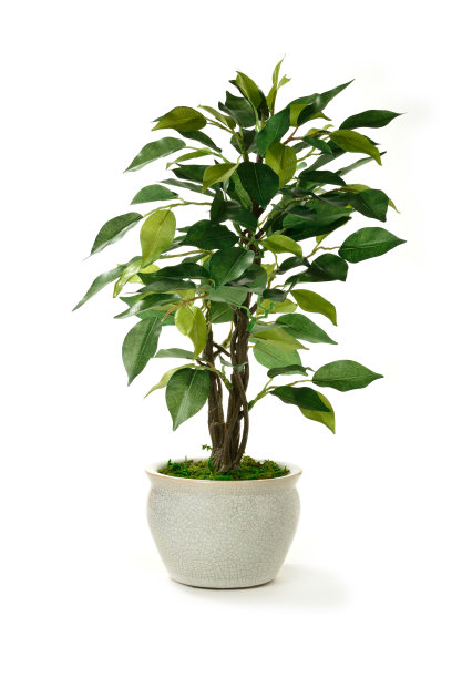 veer-100959800.jpg