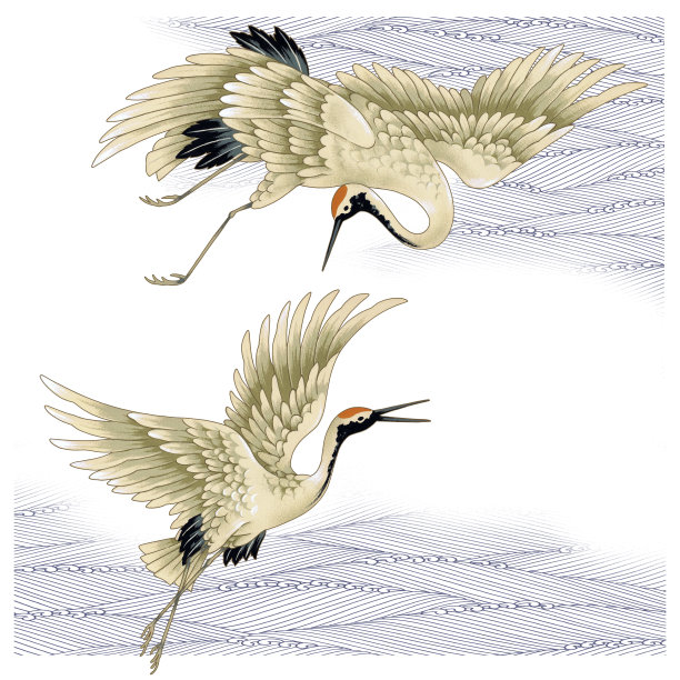 仙鹤插画
