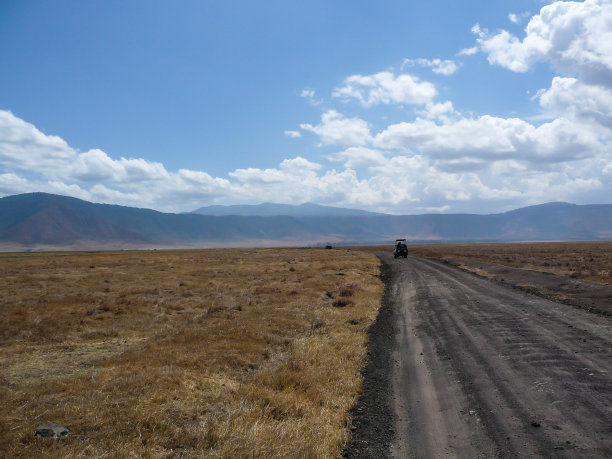 ngorongoro
