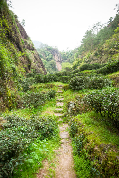 武夷山