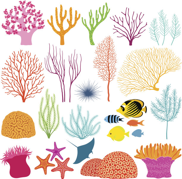 corals