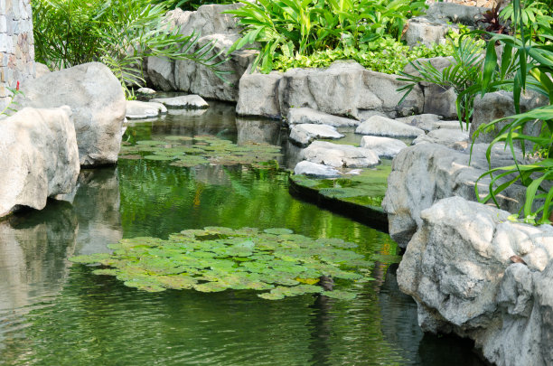 ponds