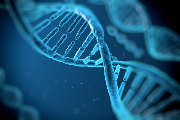 cell