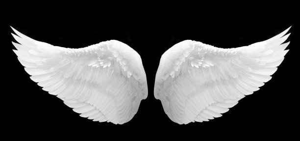 wings