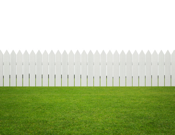 fence