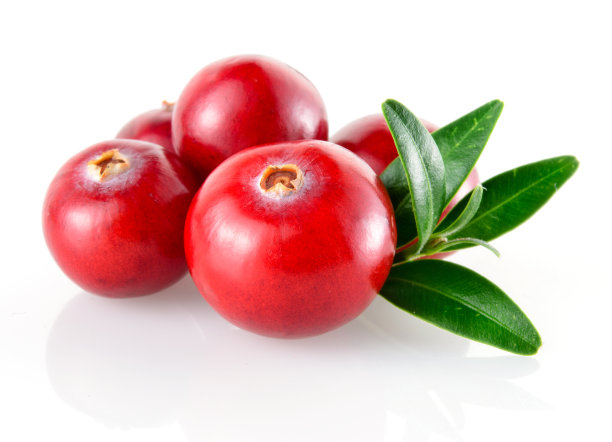 cranberry
