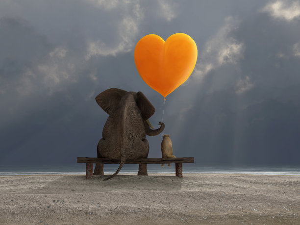 elephant