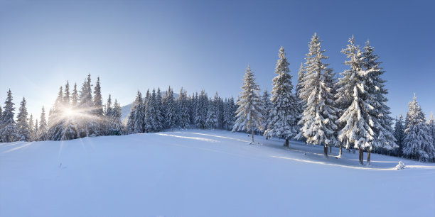 冰天雪地 冬天 雪景 风景 自