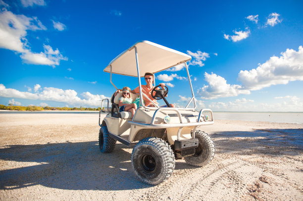 buggy