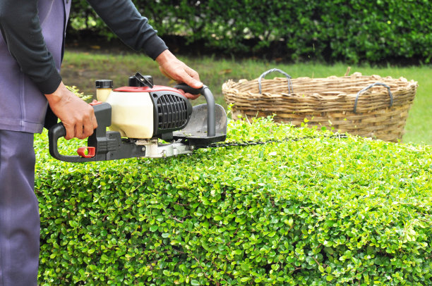 horticulture