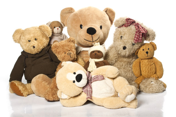 teddy