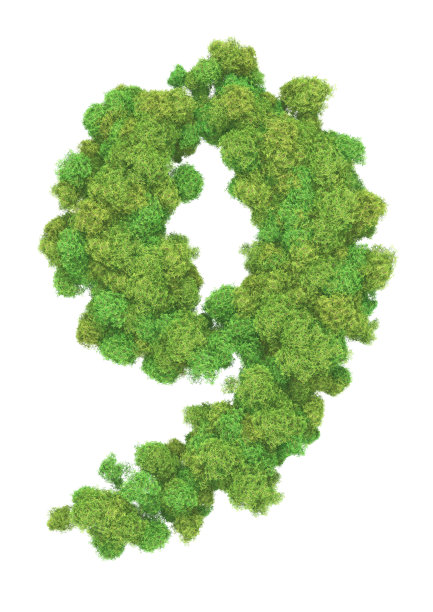 nine