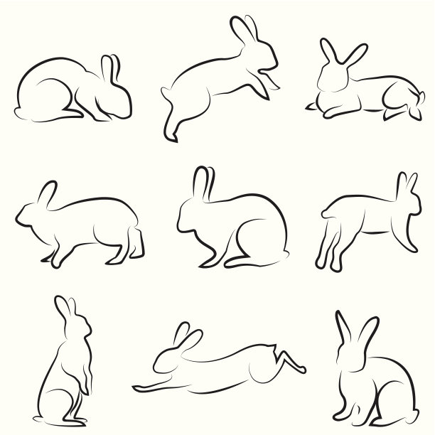 bunny