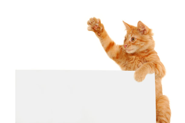 outstretched