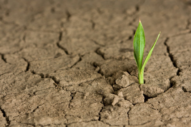 drought