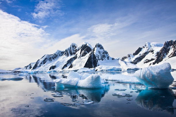 arctic
