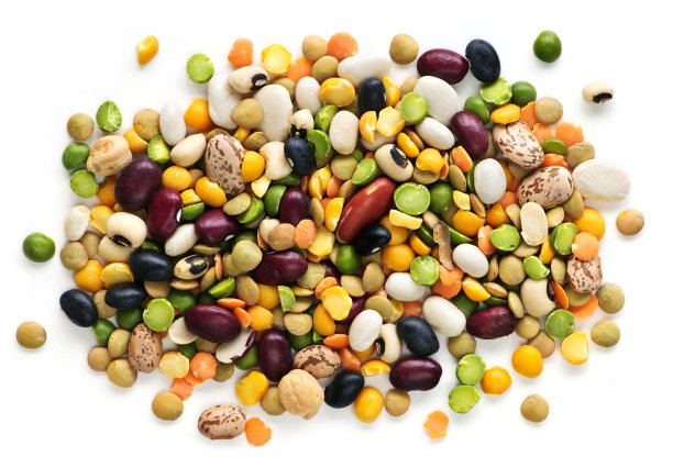 legume