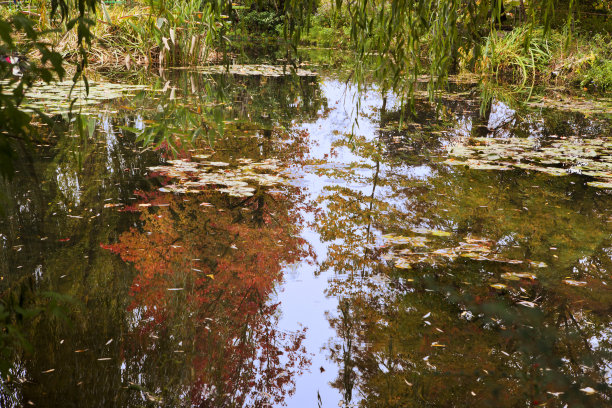 monet