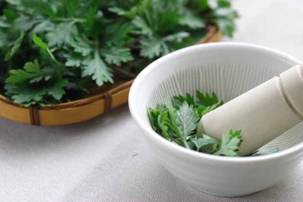 mugwort