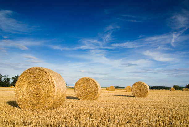 bale
