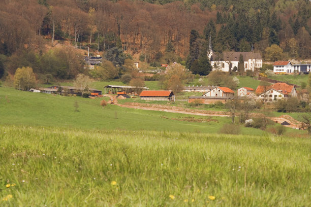 野花山岗