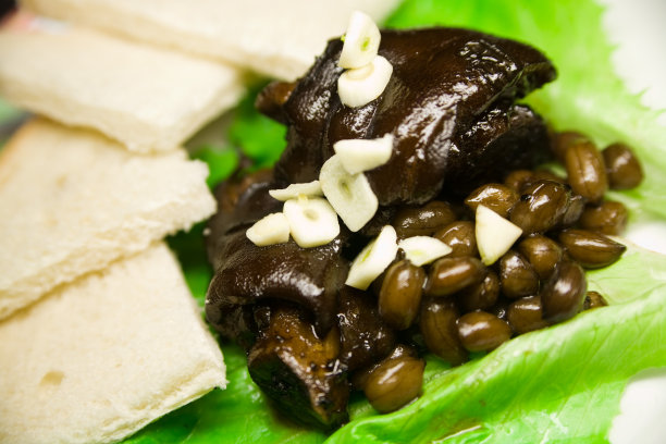 trotter