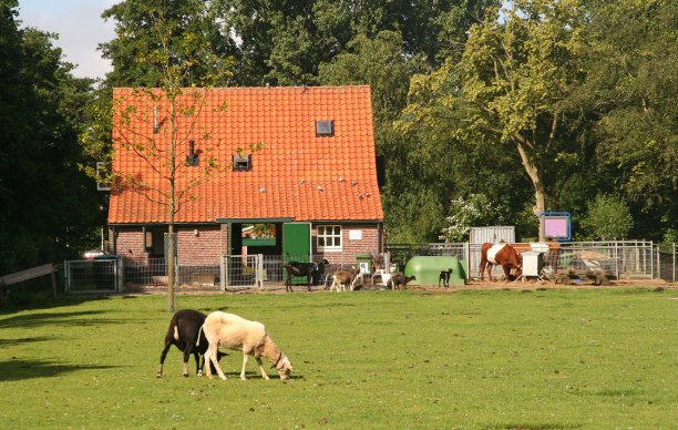 farm