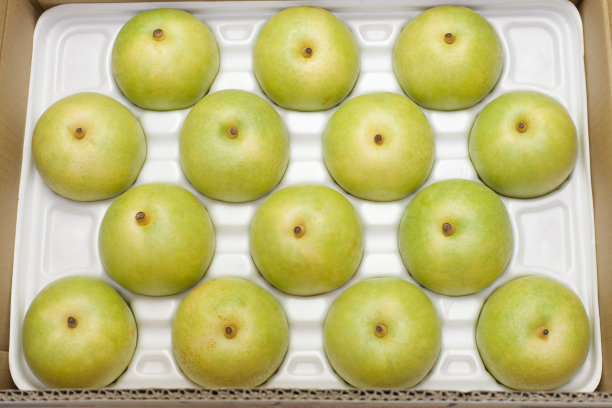 苹果梨包装