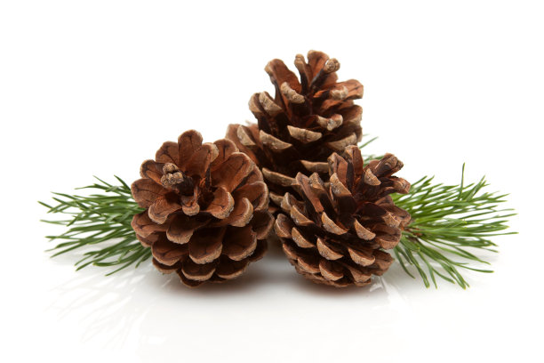 cone