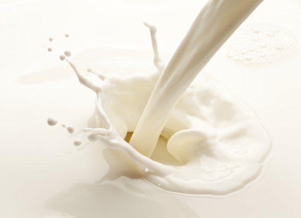 milk