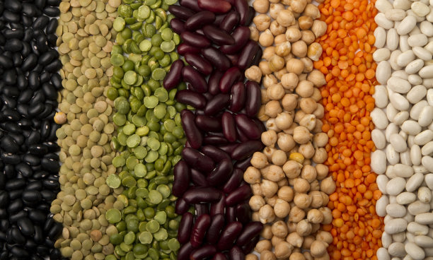 legume