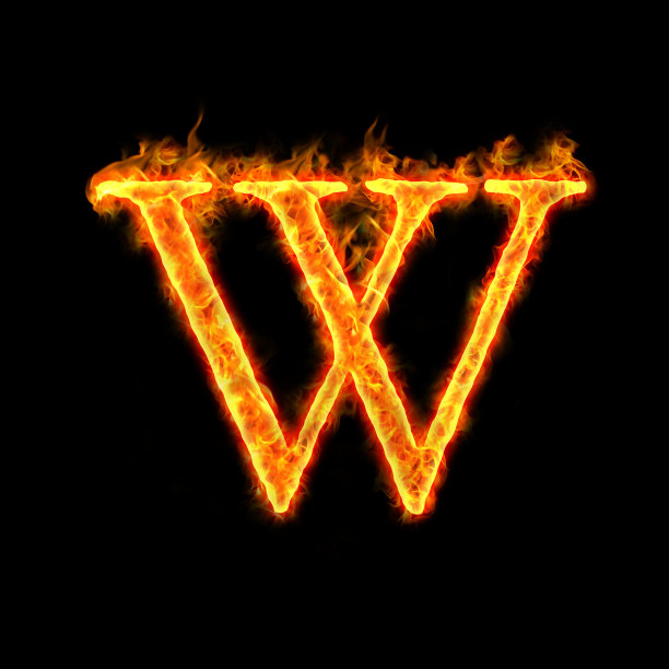 w火焰标志