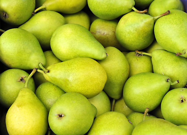 pyrus