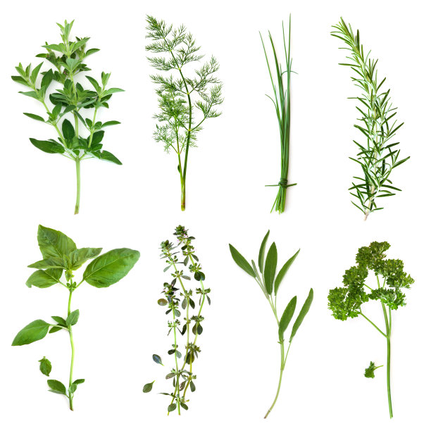 herb