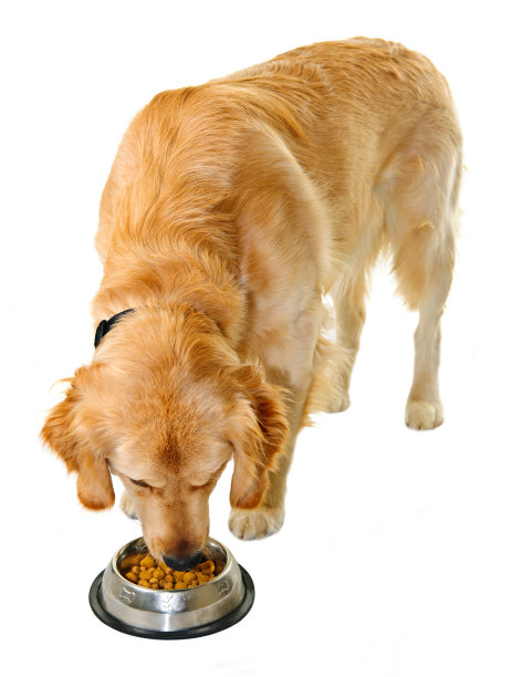 eat