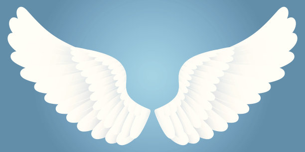 wings