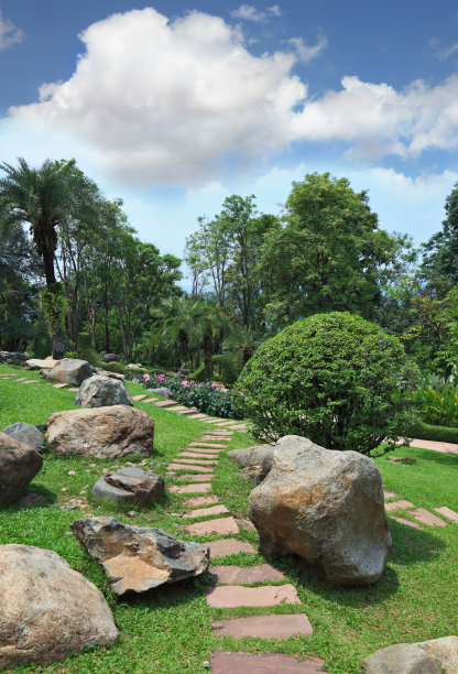 园艺展览,植物学,叶子
