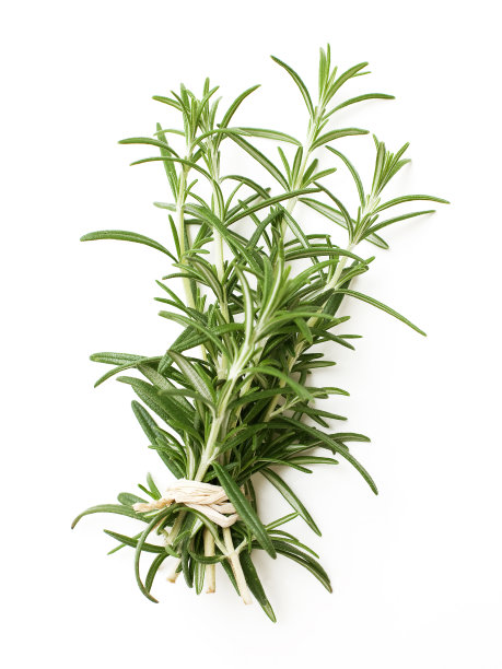 rosemary