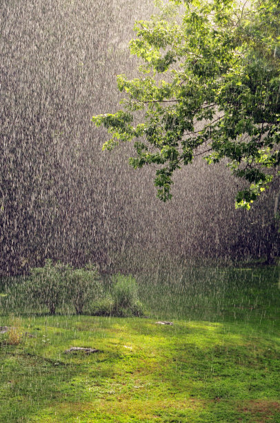 drizzle
