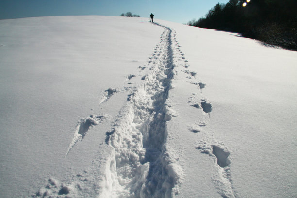 滑雪杖,寒冷,冬天