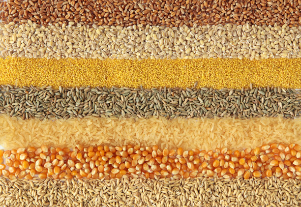 grain